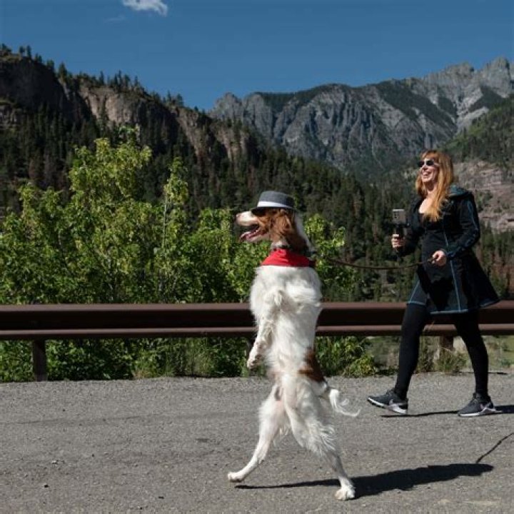 Anna Friel looks effortlessly chic in a beige jumpsuit as she goes back to brunette