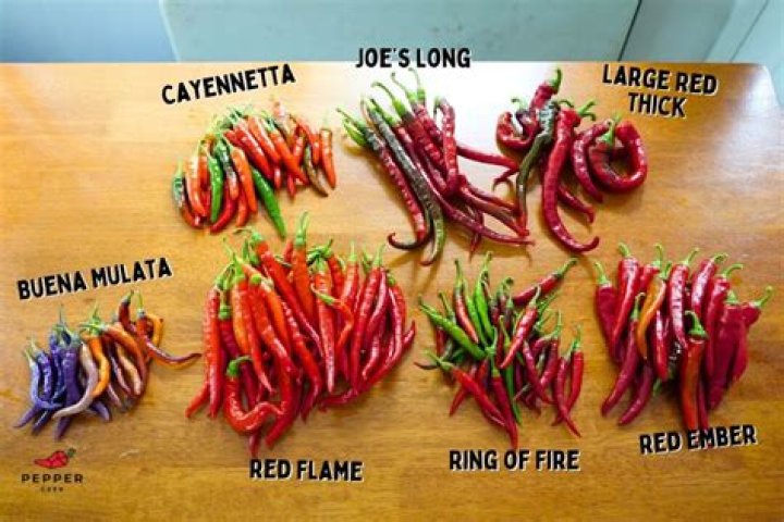 Are Pequin peppers hotter than habanero?