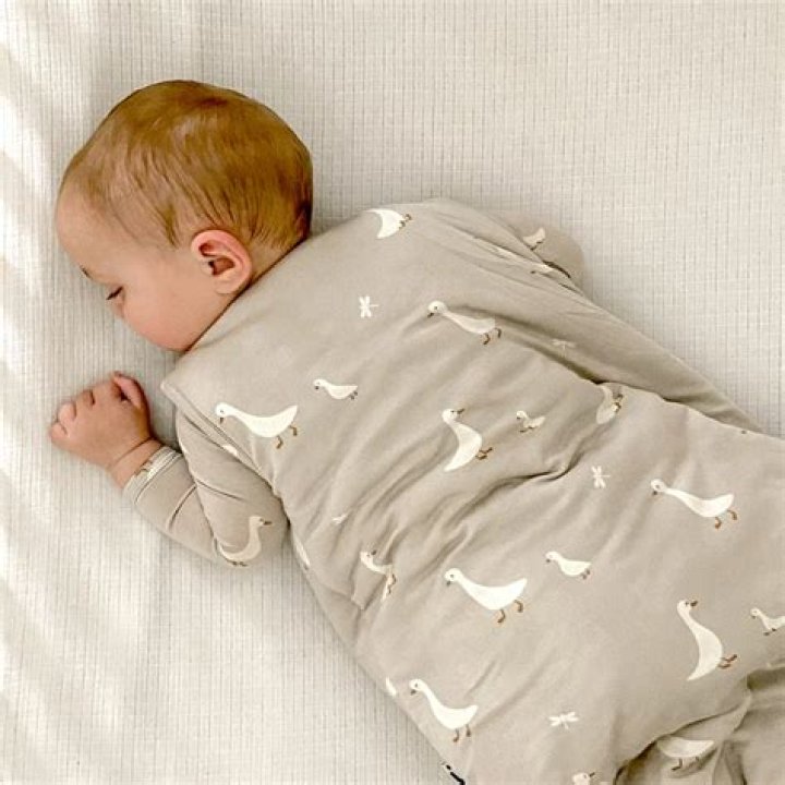 Question: Are Sleep Sacks Safe For Babies Who Can Roll Over
