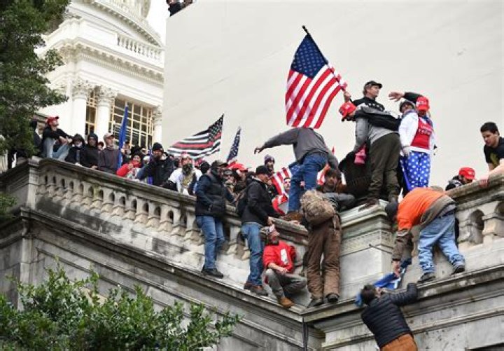 Who is musician Ariel Pink and was he at the Trump rally at the US Capitol in DC?