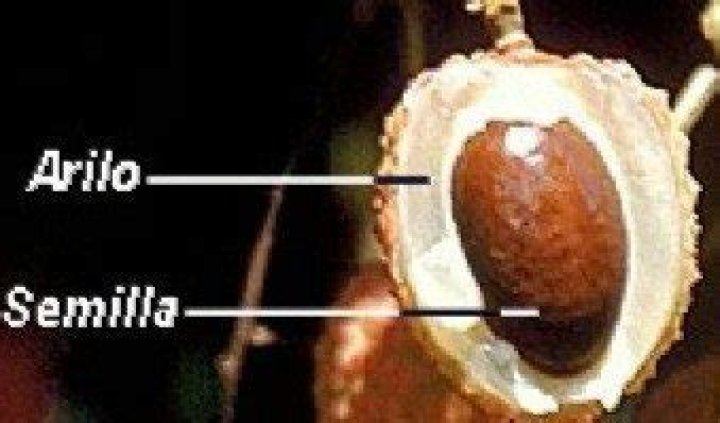 Arilo Pin Code | Postal Code (Zip Code) of Arilo, Jagatsinghapur, Odisha, India