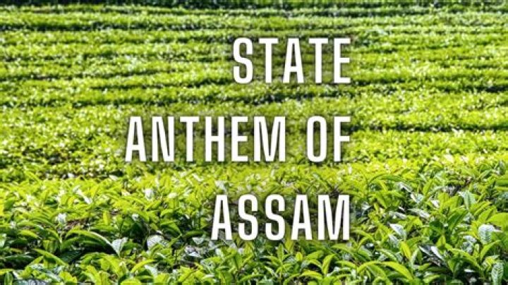 Assam to adopt 'O Mur Apunar Dex' as state anthem – India TV