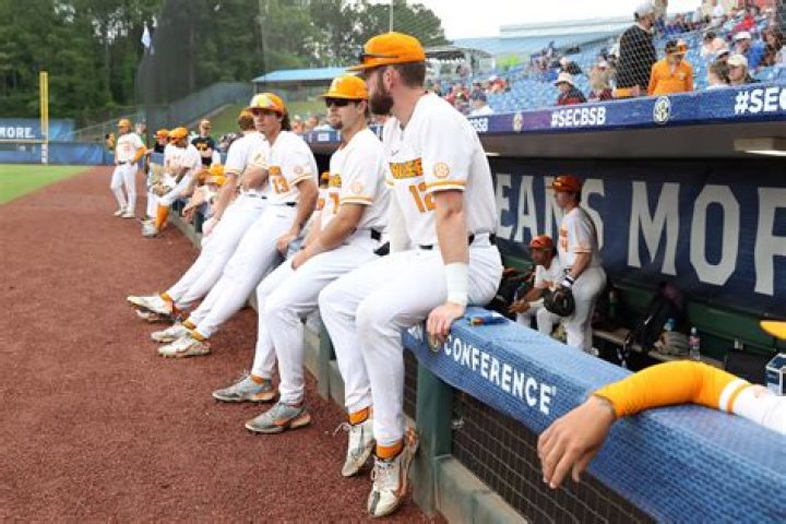 Baseball commentator rages 'this has to stop' after umpires' 'brutal' call during Tennessee against Clemson