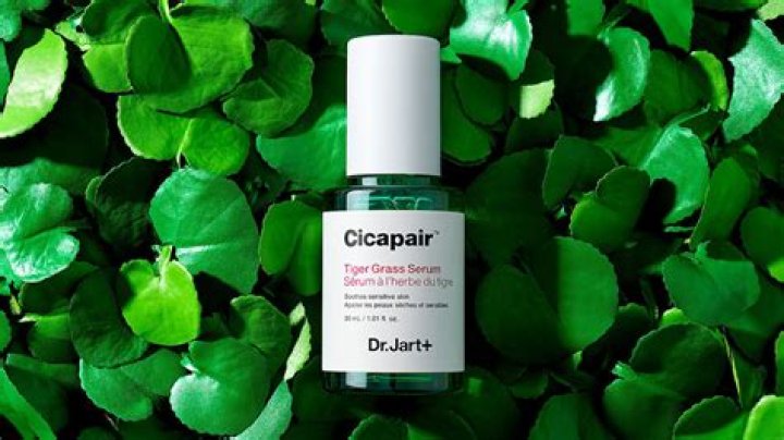 What Is Cica And How Do I Implement It On My Skincare Routine?