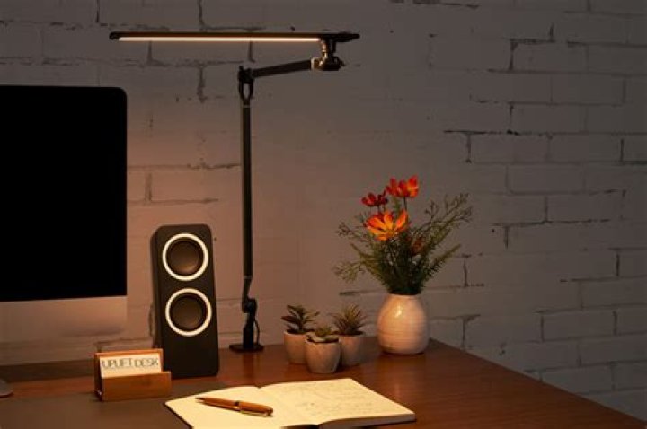 11 Best Desk Lamps That’ll Illuminate Any Space 2023