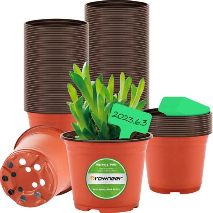 23 Best Plant Pots: Indoor Planters For Your Home