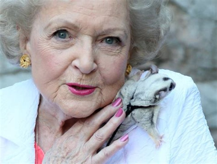 Betty White Had 26 Dogs, No Kids and Other Things You May Not Have Known About the TV Icon