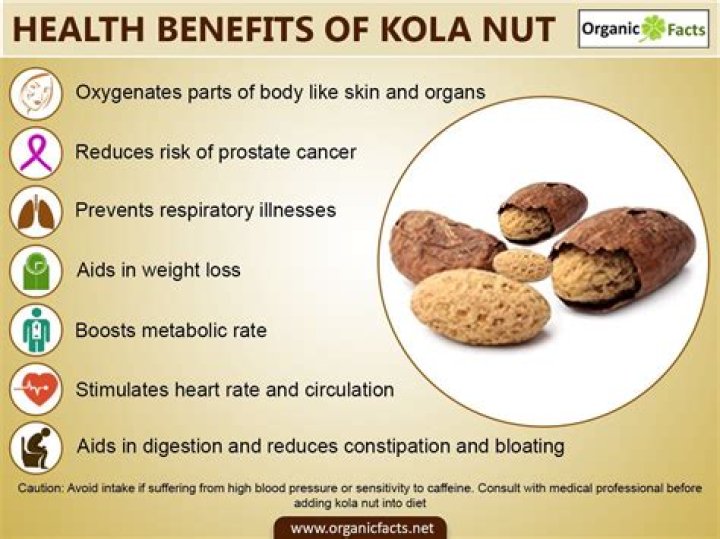 Bitter Kola Benefits: Discover The Amazing Health Advantages Of This Wonder Nut