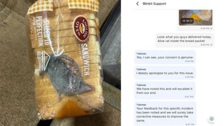 OMG! Blinkit customer finds rat inside bread packet, here’s how the company reacted – India TV