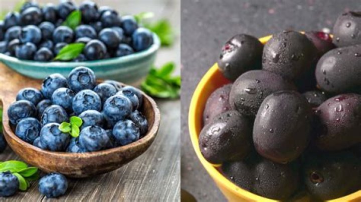 Blueberries, Jamun to chia seeds; go desi with these Indian alternatives to international superfoods – India TV