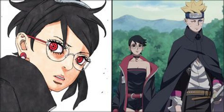Question: Boruto What Is Karma