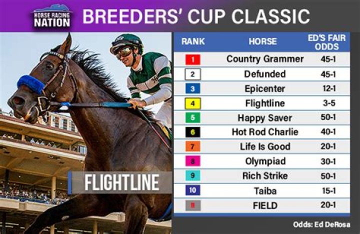 Breeders' Cup 2023 - preview, post positions, picks, odds and betting offers