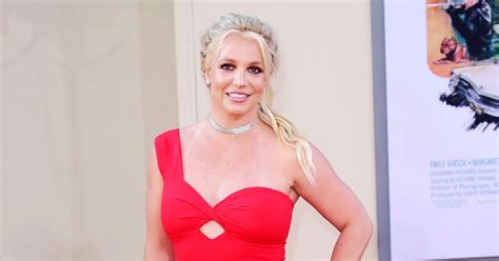 Britney Spears Shows New Stripper Pole With a NSFW Dance