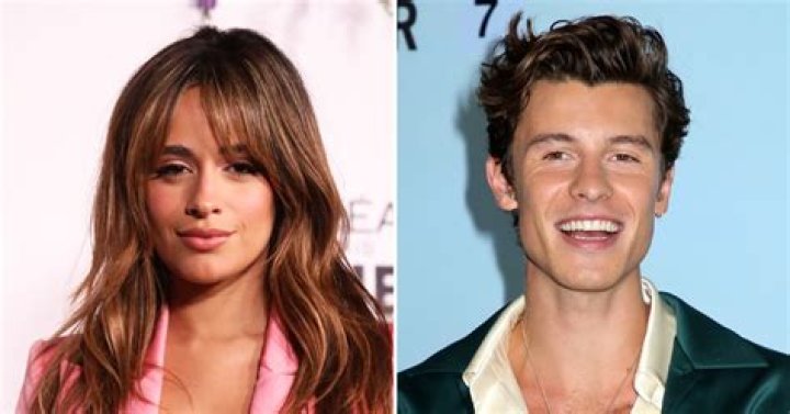Camila Cabello Seemingly Hints at Shawn Mendes Reunion on New Song