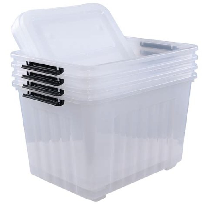 Can a rat chew through a plastic storage box?