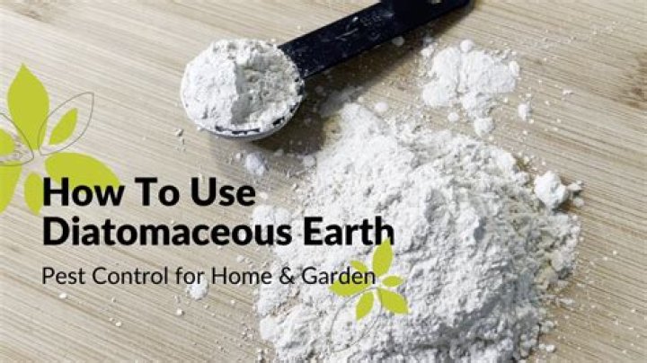 Can I put diatomaceous earth in my bath water?