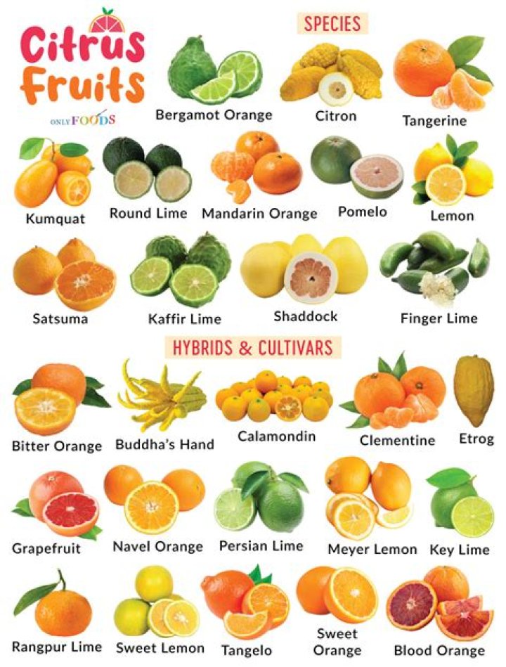 Can I use citric acid instead of fruit fresh?