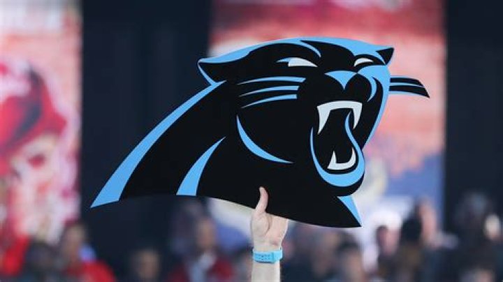 You're a genius if you can spot the hidden secret optical illusion in Carolina Panthers logo