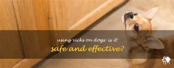 Quick Answer: Can Vicks Be Used On Dogs