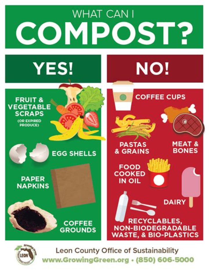 Can You Compost Greenware Cups