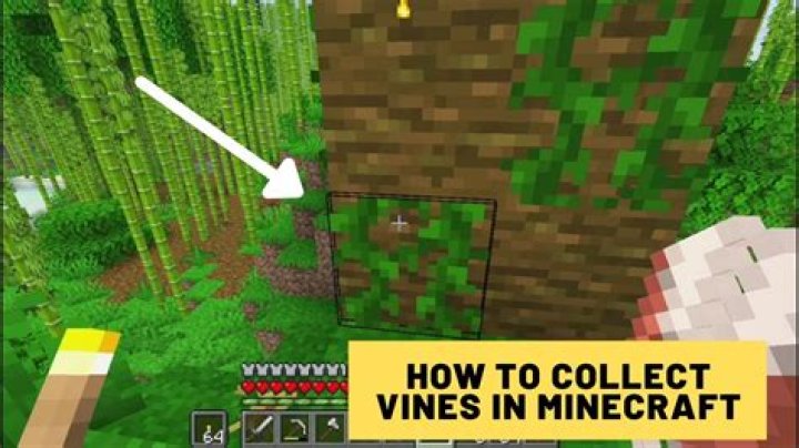 Question: Can You Craft Vines In Minecraft