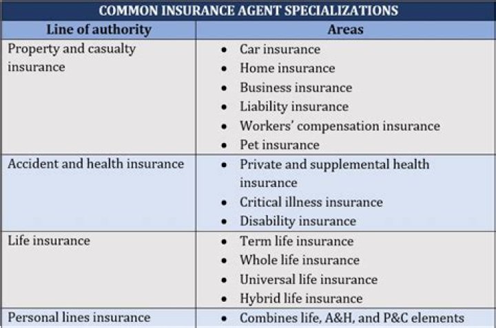 Can you get an insurance license with a felony in Georgia?