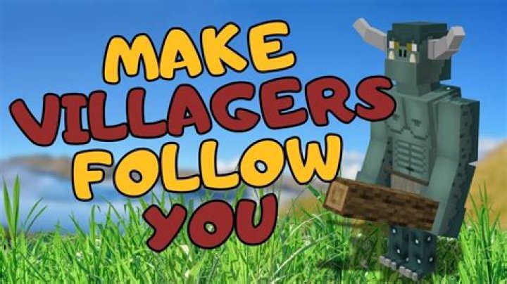 Question: Can You Make A Villager Follow You