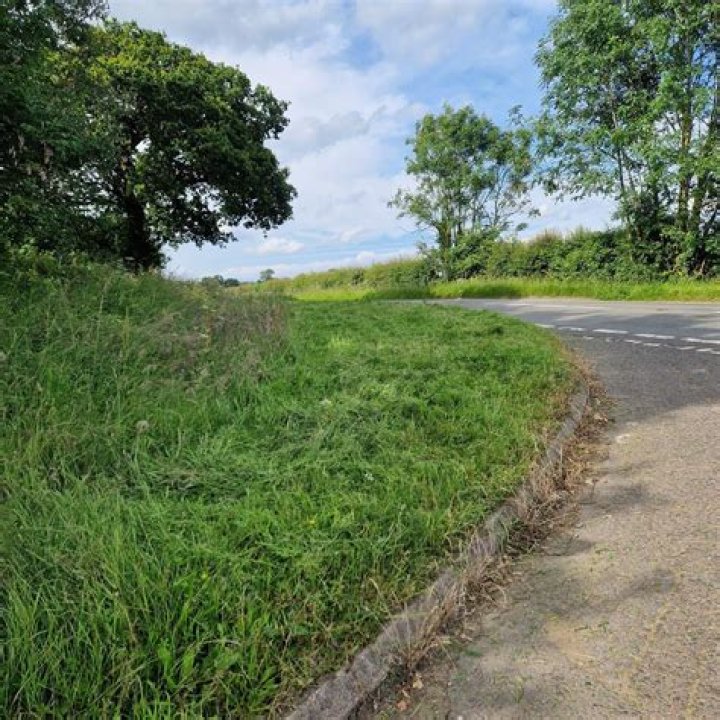Question: Can You Put A Skip On Grass Verge