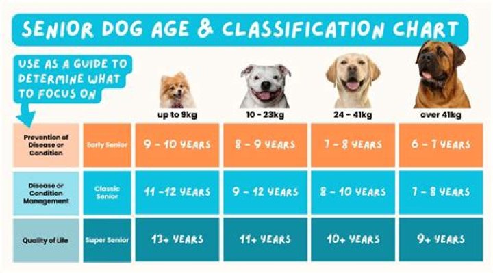 Can Younger Dogs Eat Senior Dog Food