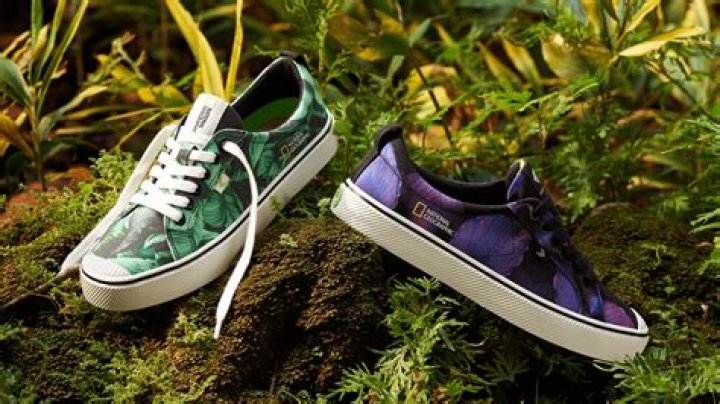 Cariuma x National Geographic Sneakers Are Here