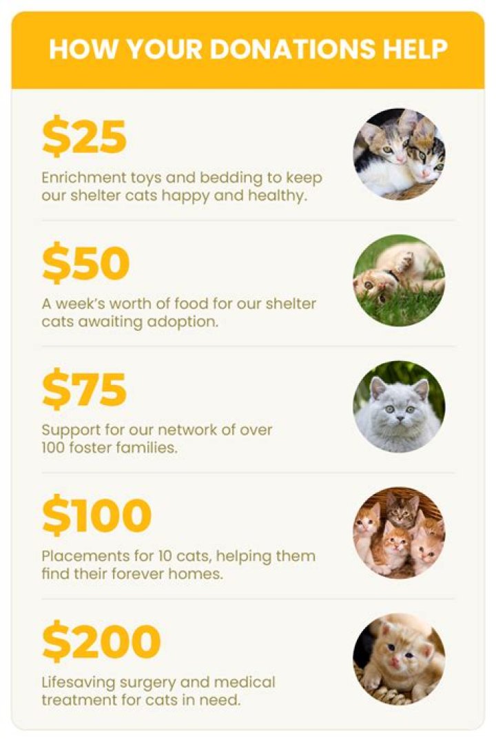 Charity Shop Donations: How To Make Sure They Don't End Up As Landfill