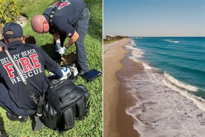 Child bitten by SHARK while standing in shallow water in second attack in Florida area in just two weeks