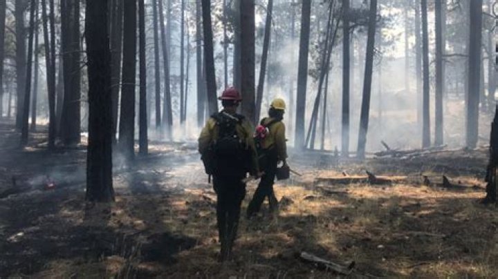 Chilling twist in search for missing hiker who VANISHED in 2014 after wildfire unearths major clue