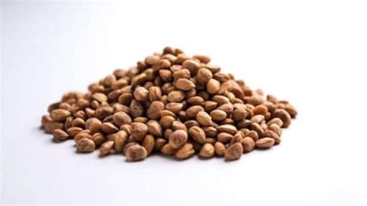 Six amazing reasons why you should include this in your diet – India TV