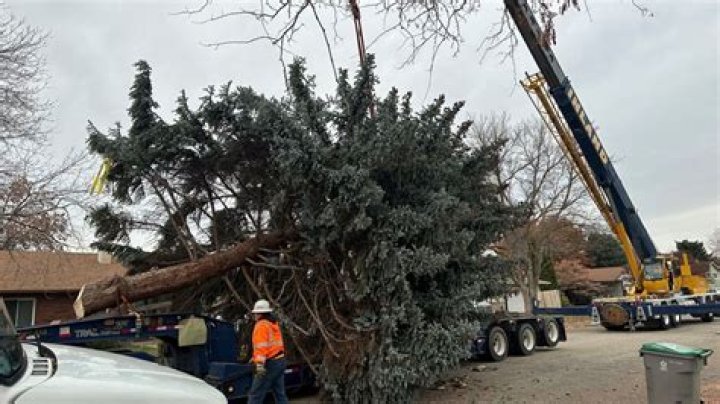 Christmas Tree goes up in Boise's Grove Plaza