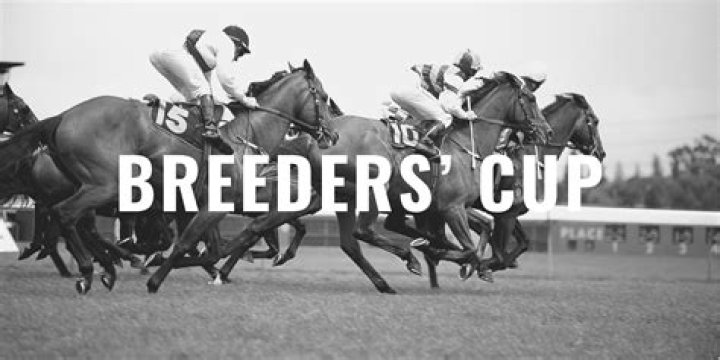 The horse with 'a story made for Hollywood' - Cody's Wish and racing's most incredible tale