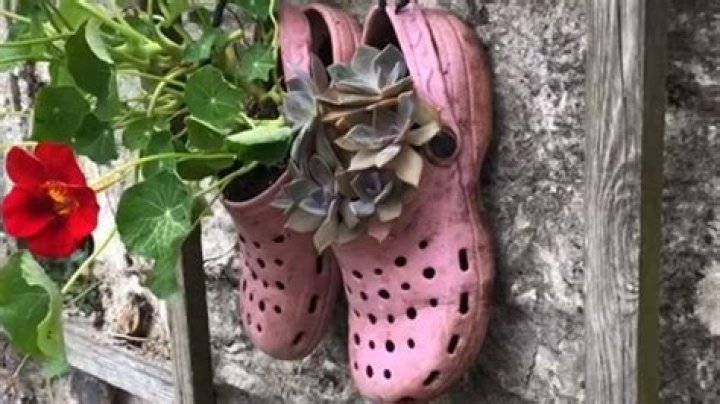 I use my old Crocs as a gardening tool - they're the perfect solution for beautiful plants