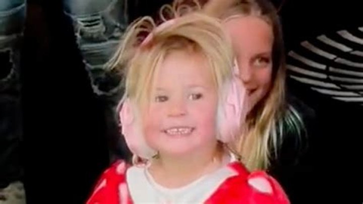 Daisy Bloom: A Comprehensive Guide To Understanding This Charming Flower