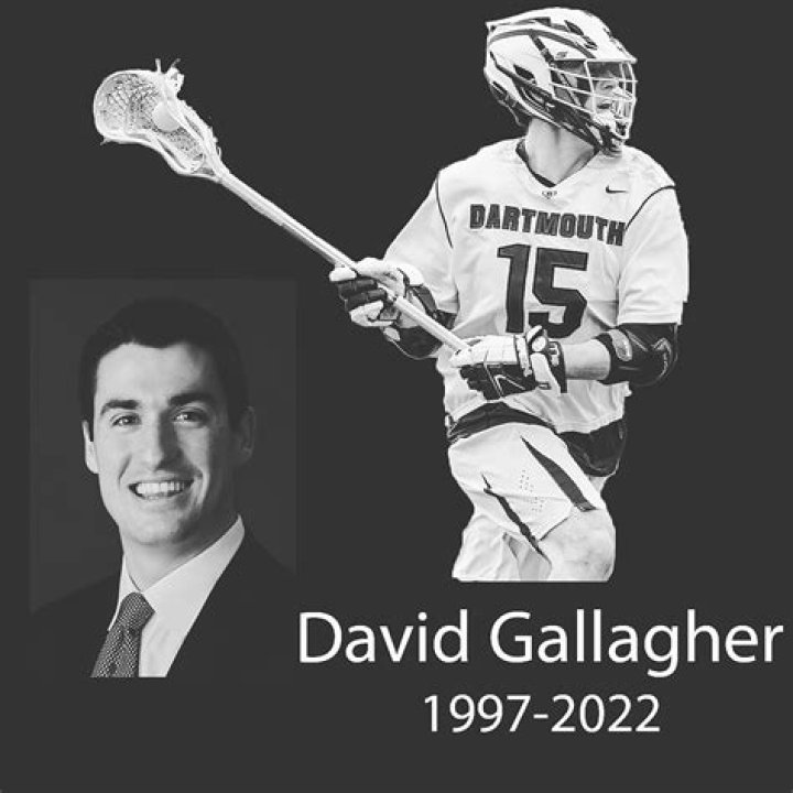 Unveiling David Gallagher Dartmouth: A Journey Of Passion And Achievement