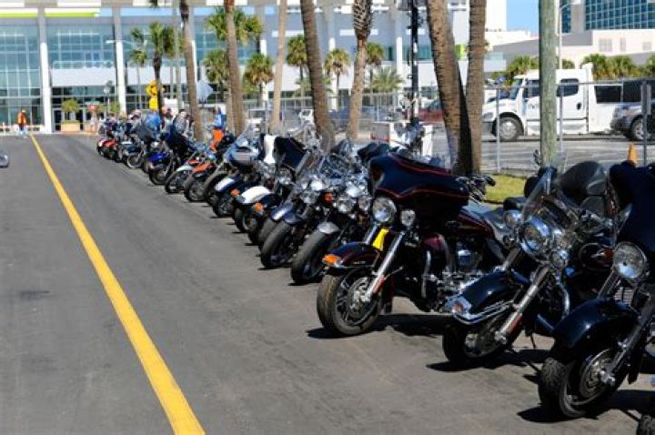 Seven killed at popular festival as 'disturbing' slaying leaves locals in fear