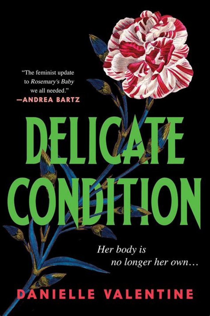 How does the book Delicate Condition end?