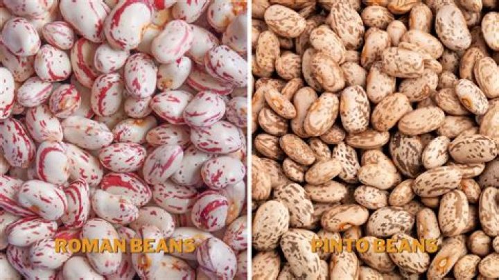 Uncover The Hidden Names: Exploring The Alternate Identifiers Of Pinto Beans