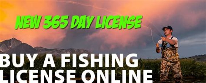 Quick Answer: Do Seniors Get A Discount Fishing License In Az