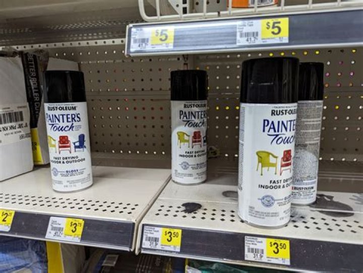 Do they sell spray paint at the dollar store?