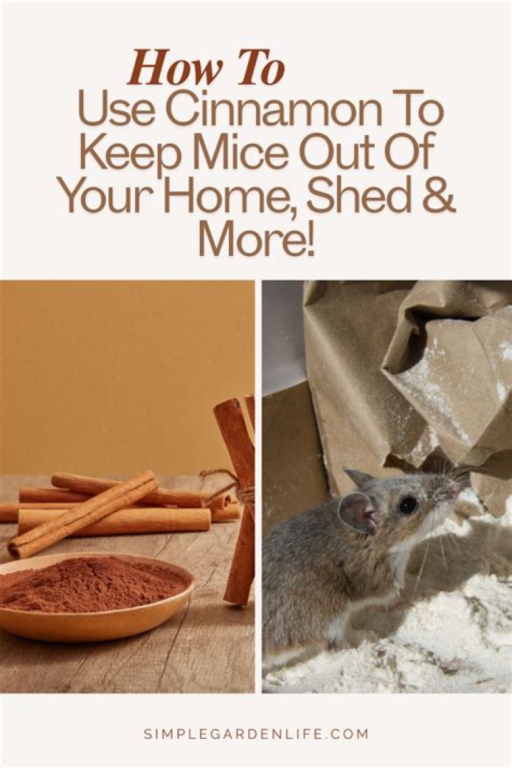 Question: Does Cinnamon Keep Mice Away