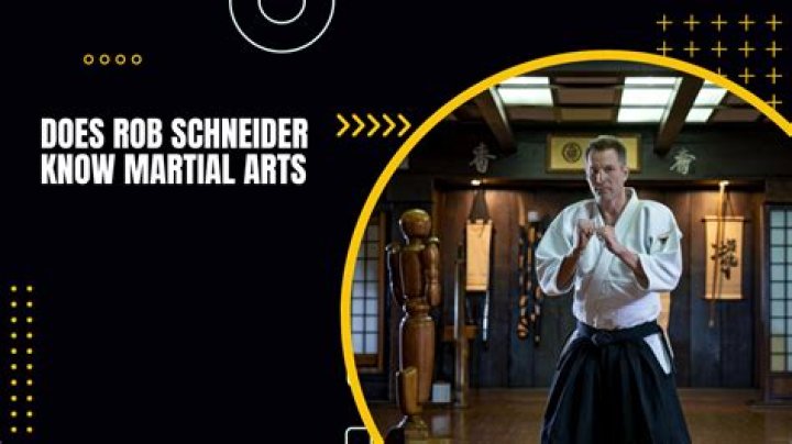 Question: Does Rob Schneider Know Martial Arts