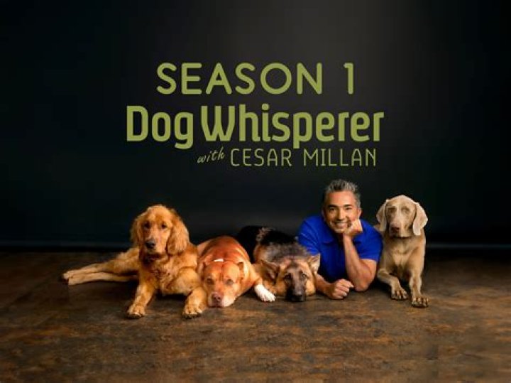 'Dog Whisperer' Cesar Millan Is Engaged to Jahira Dar: Proposal Photos!