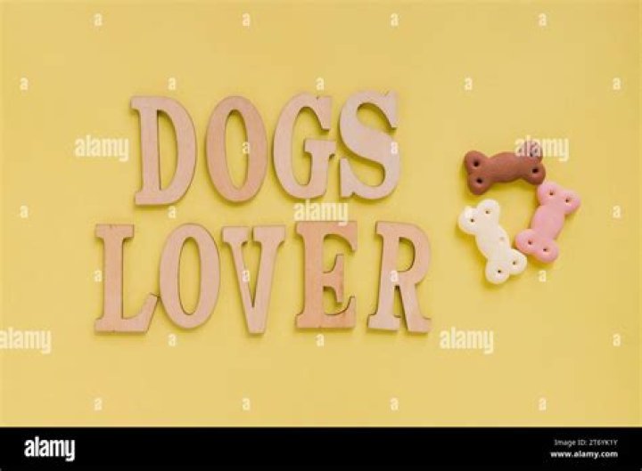 Embracing The Joy Of Being A Dogs Lover