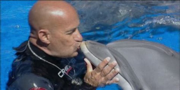 Inside shocking dolphin abuse scandal which saw famous trainer take his own life after damning controversial video