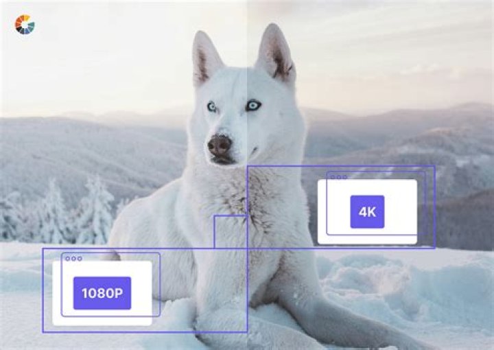 DownloadHub: Your Ultimate Destination For 4K And 1080p Content